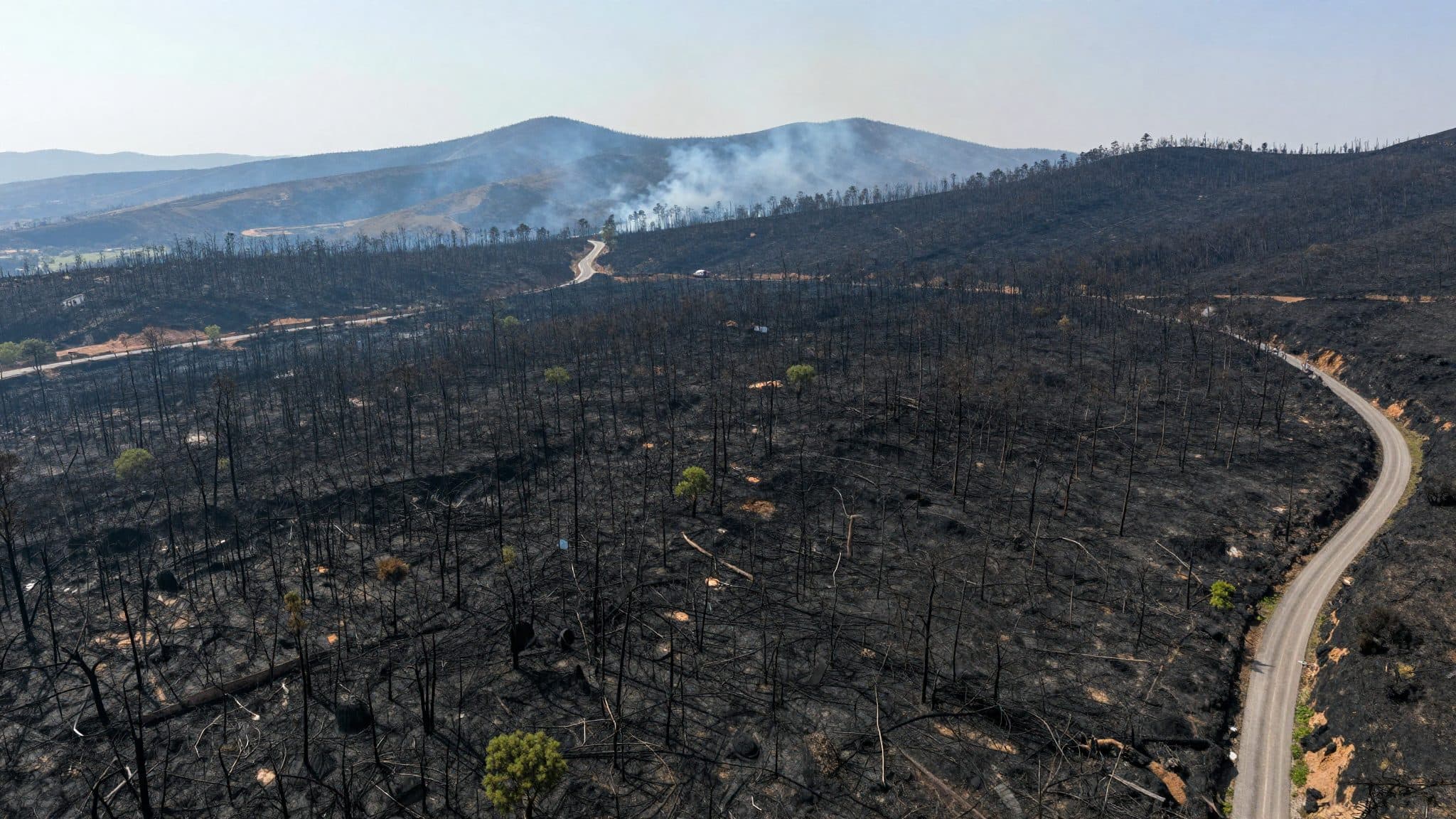 Waldbrand in Andalusien fordert zwölf Tote – Suche nach Vermissten dauert an