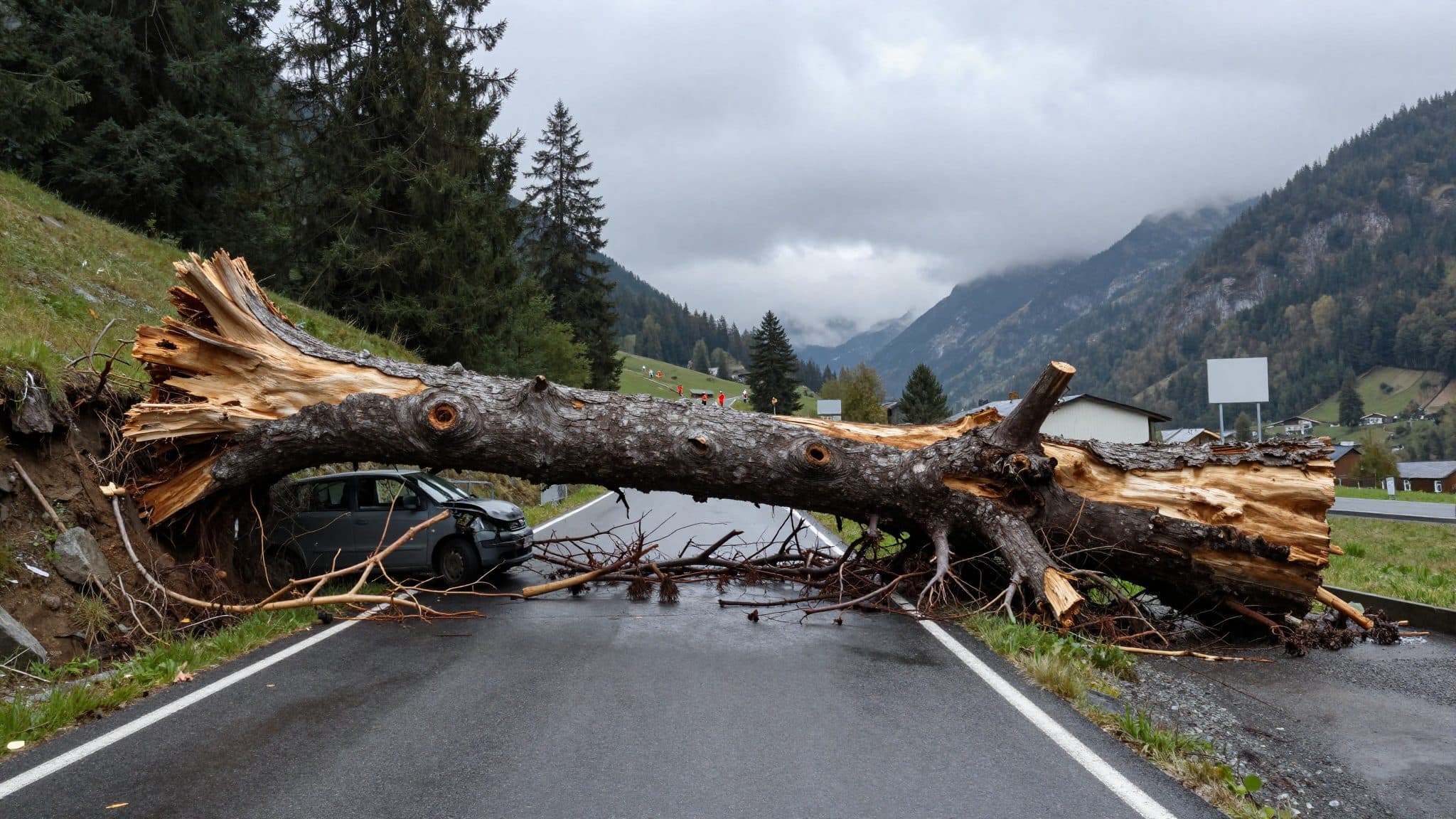 Baum stürzt bei Roppen auf Auto: Lenker (43) leicht verletzt