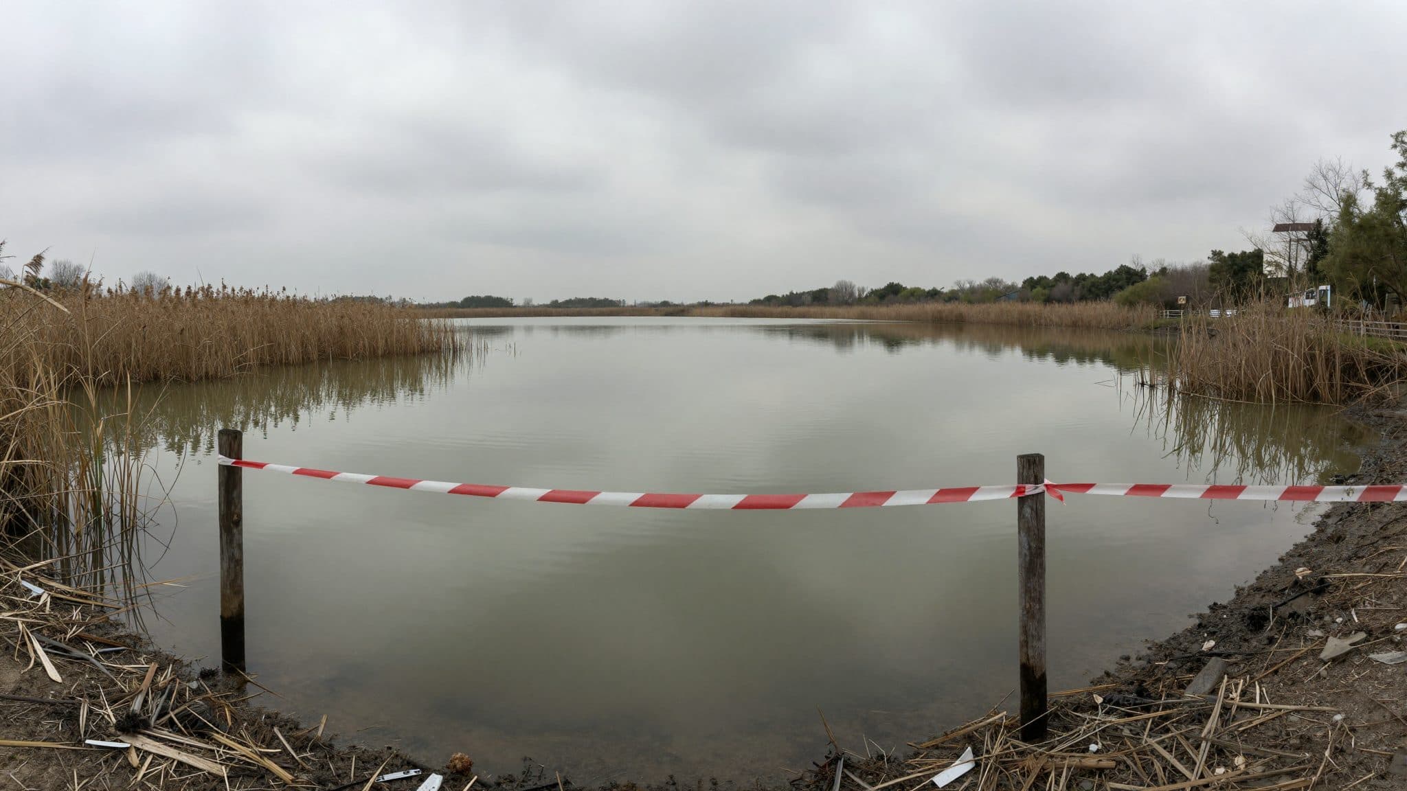 Naturbadesee im Mittelburgenland wegen erhöhter E.-coli-Werte gesperrt
