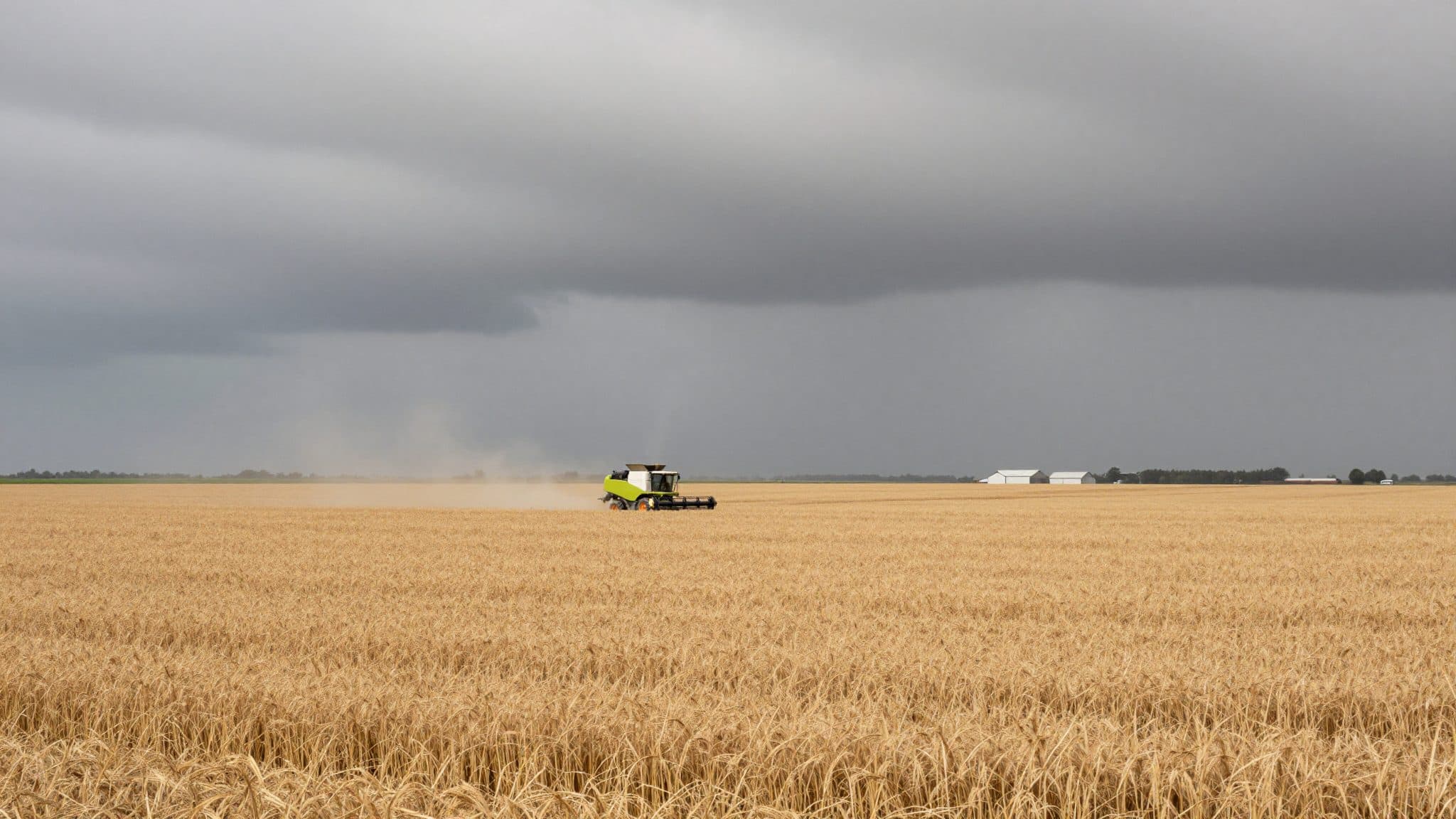 FAO und OECD erwarten bis 2035 deutlich mehr Agrarproduktion – bei steigenden Emissionen