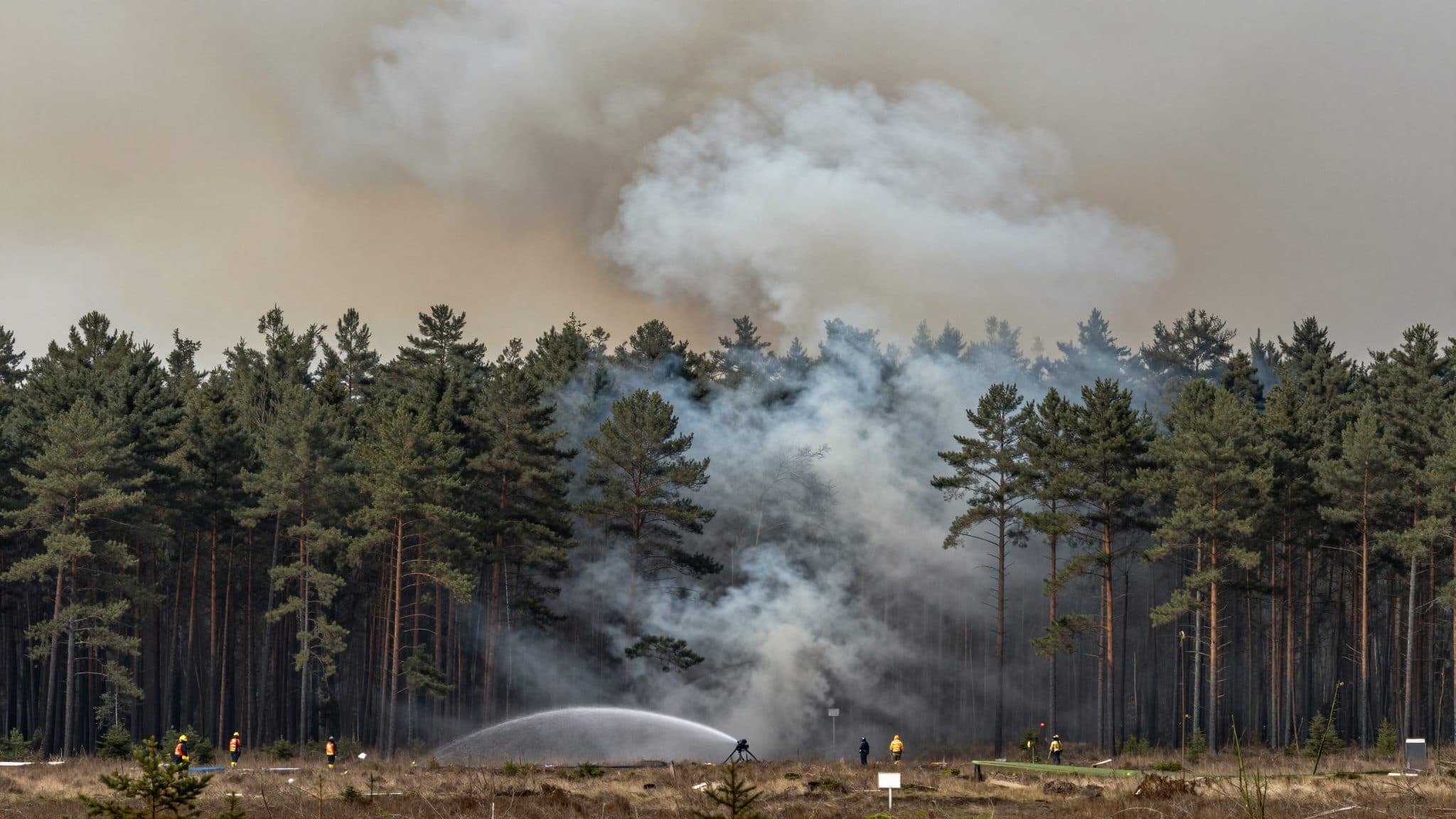 Waldbrand Müritz-Nationalpark: 318 Hektar betroffen