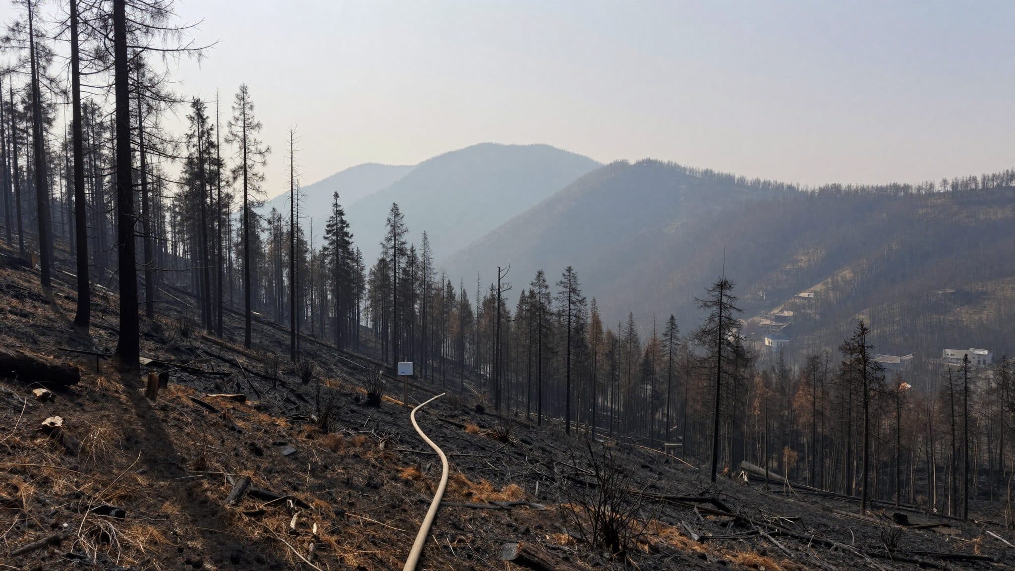 Waldbrand bei Wildermieming in Tirol gelöscht – rund 450 Helfer im Einsatz