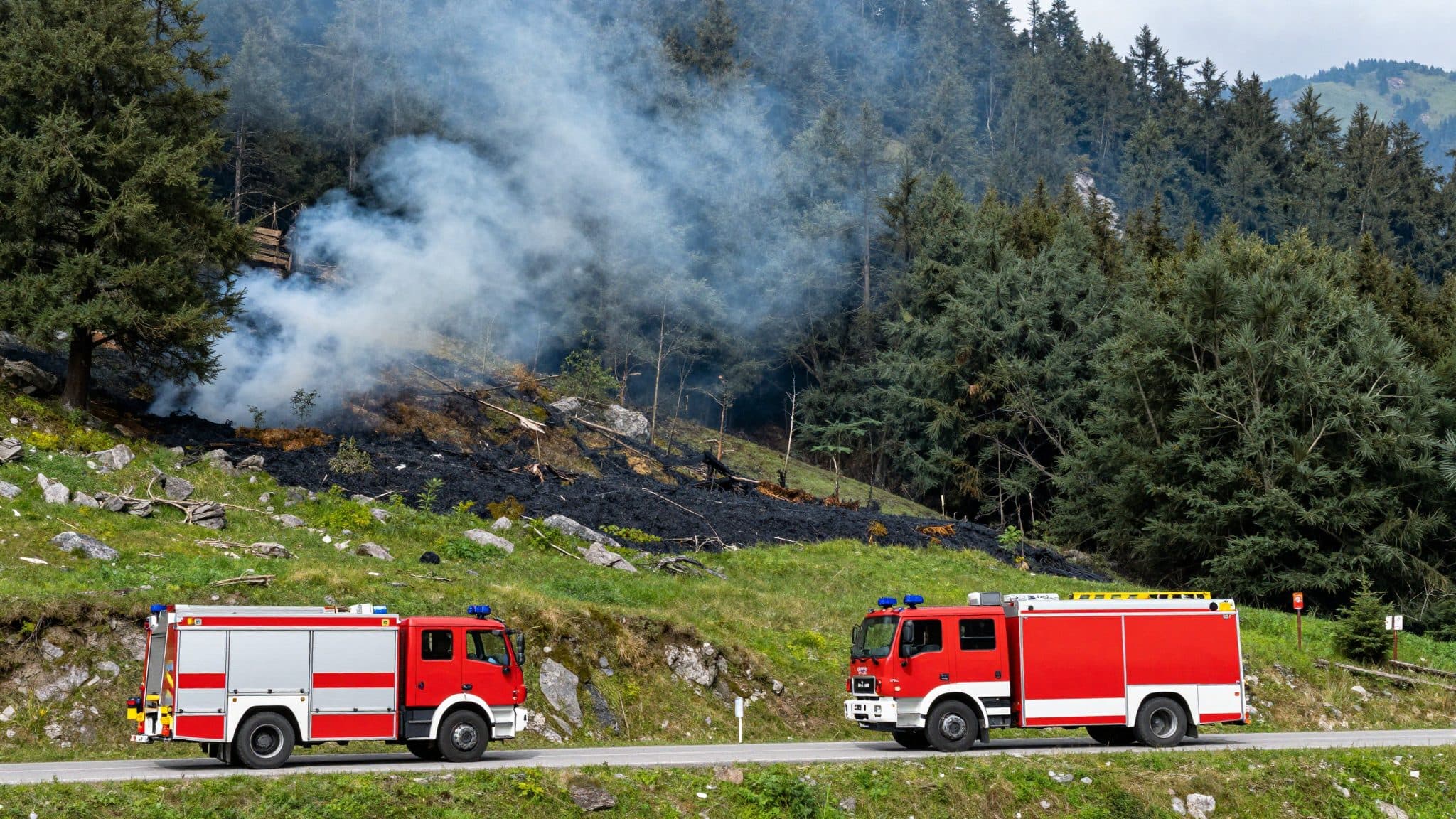 Waldbrand am Hochstein bei Lienz: Feuerwehr verhindert größeren Schaden
