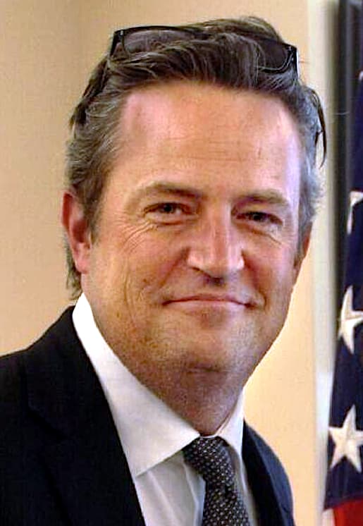 Matthew Perry in support of Awareness on Drug Courts and Reduced Substance Abuse